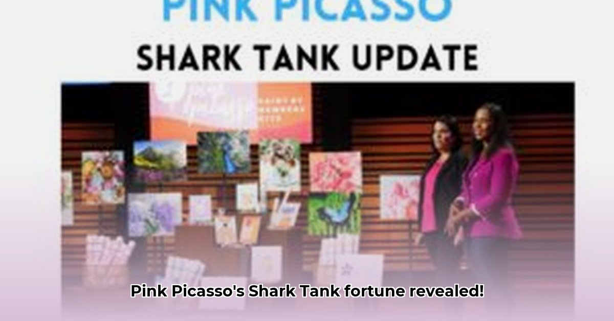 pink-picasso-net-worth